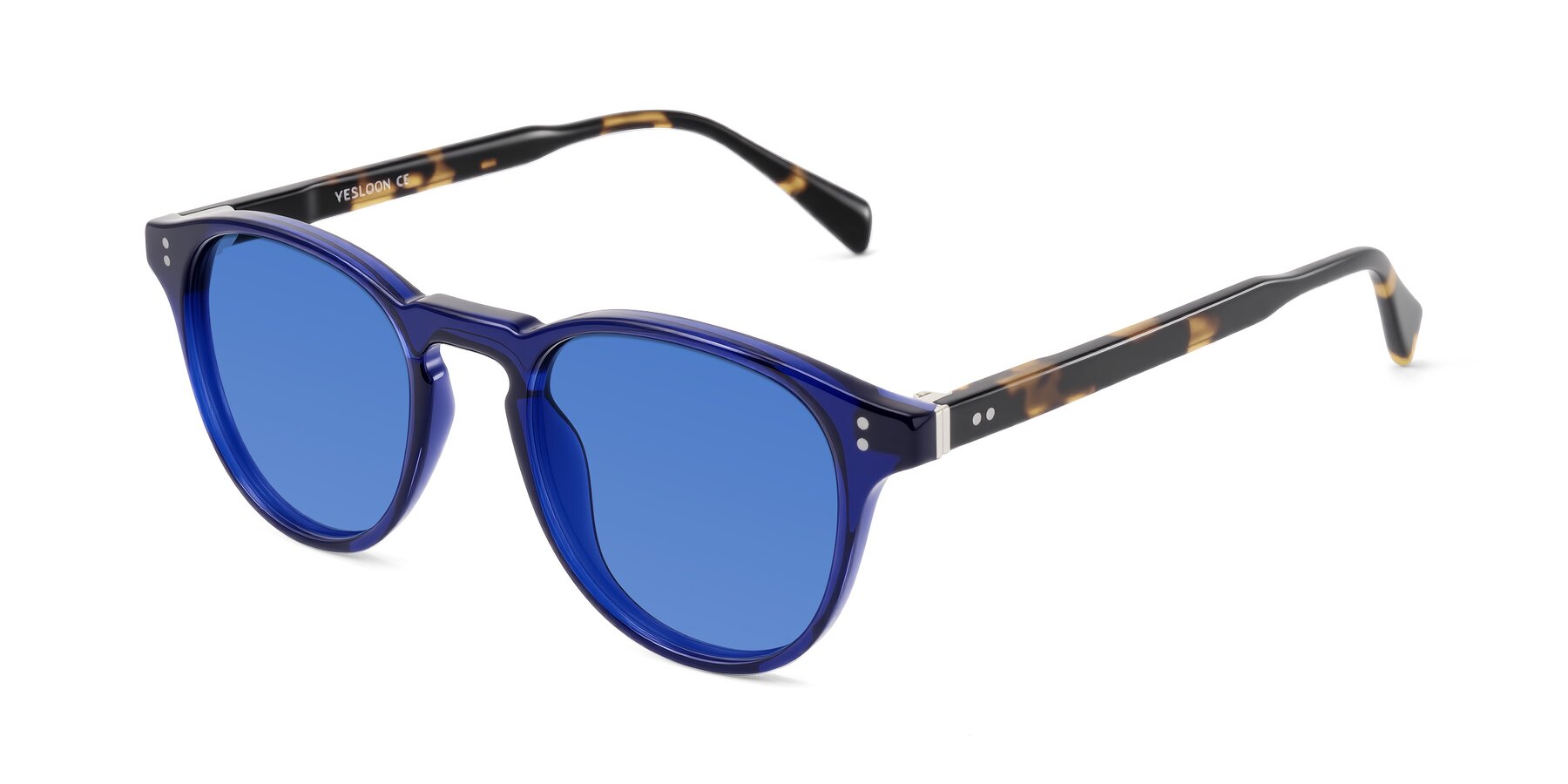 Angle of Dayen in Navy Blue/Tortoise with Blue Tinted Lenses