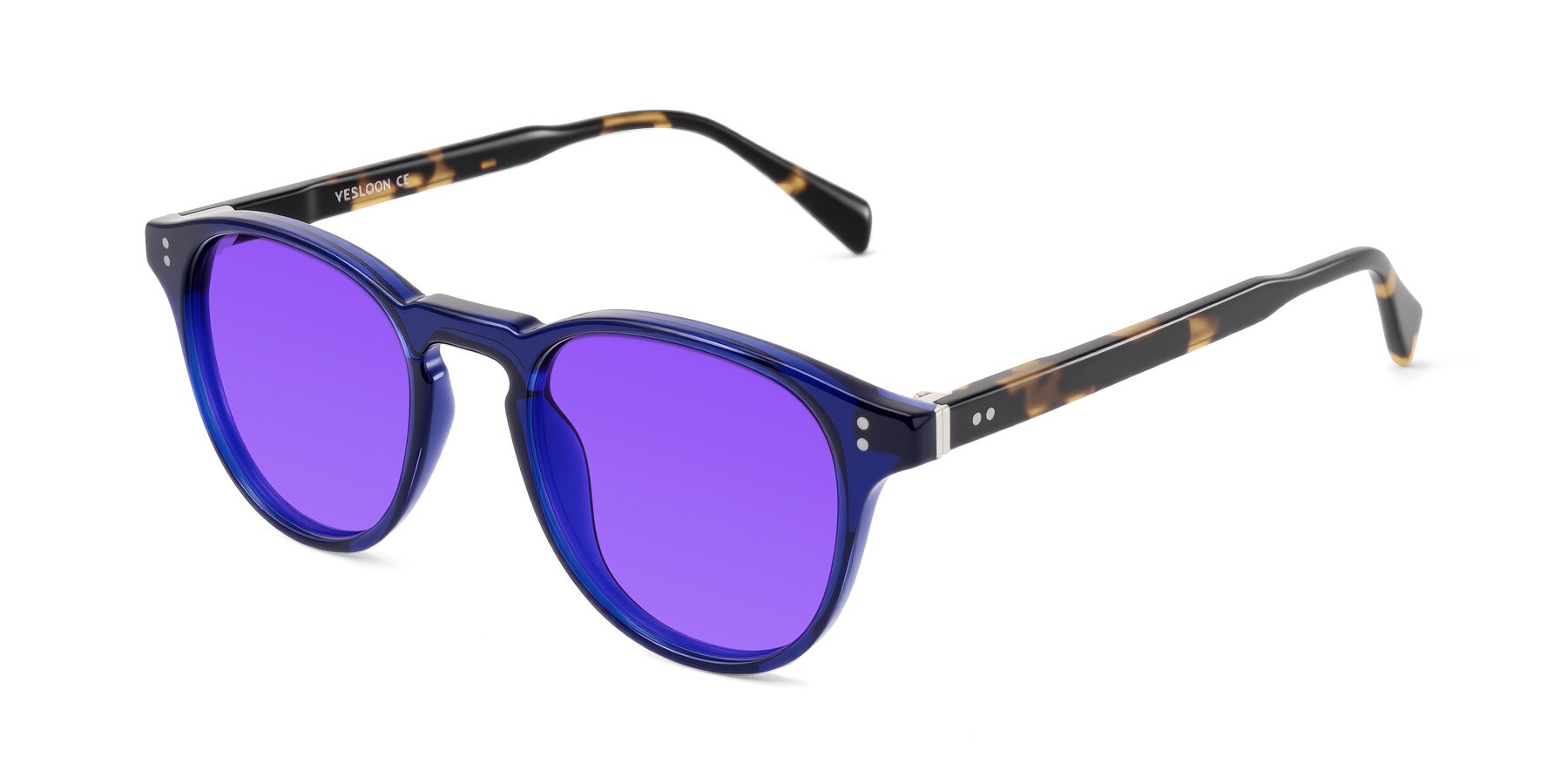 Angle of Dayen in Navy Blue/Tortoise with Purple Tinted Lenses