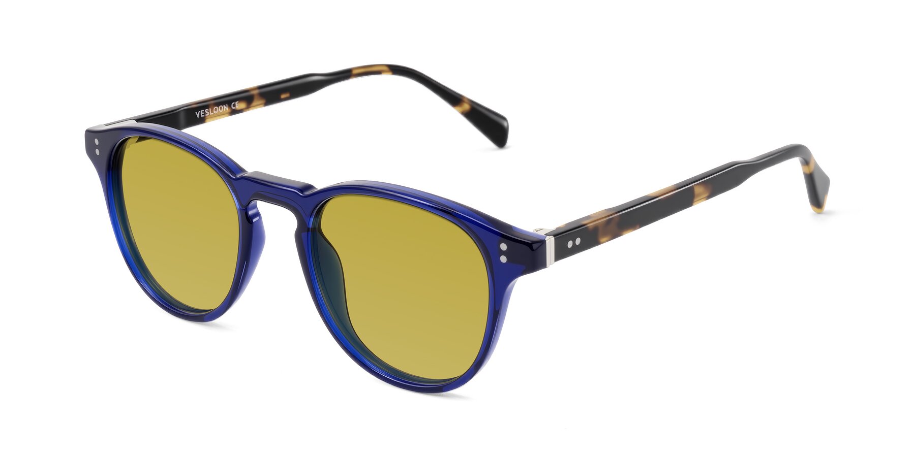 Angle of Dayen in Navy Blue/Tortoise with Champagne Tinted Lenses