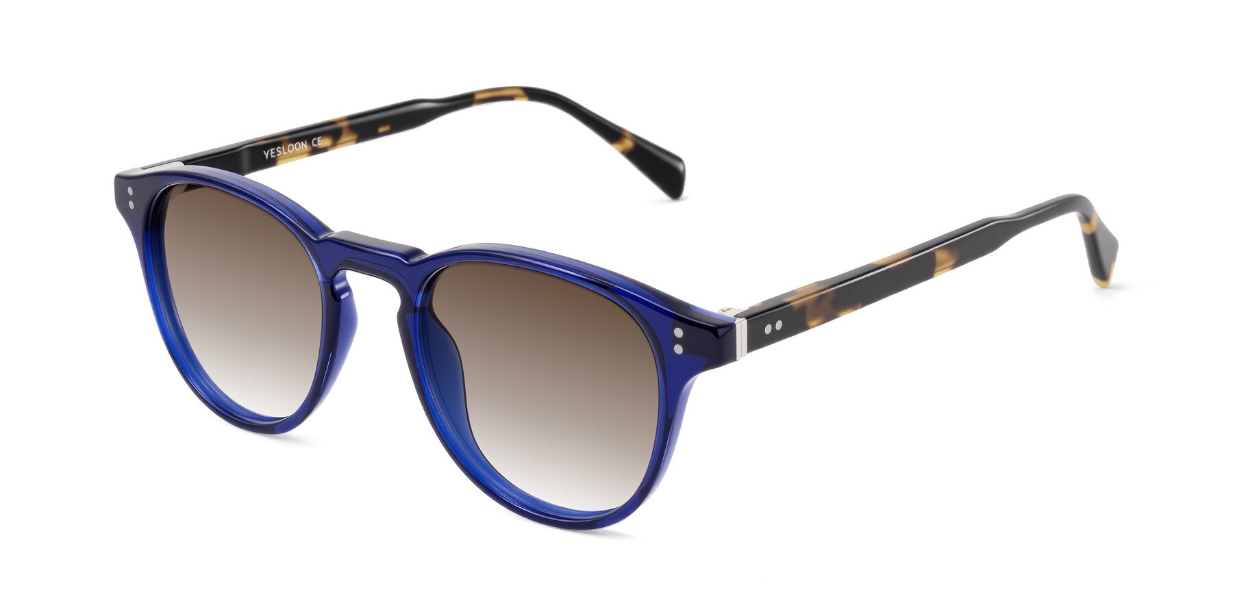 Angle of Dayen in Navy Blue/Tortoise with Brown Gradient Lenses