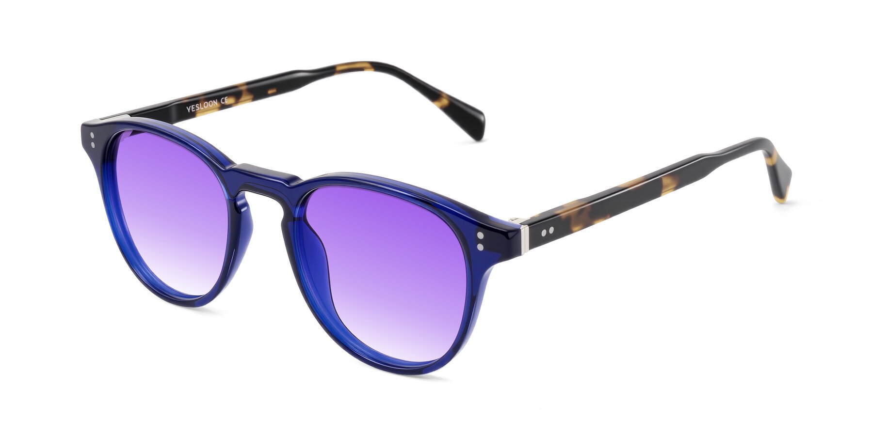Angle of Dayen in Navy Blue/Tortoise with Purple Gradient Lenses