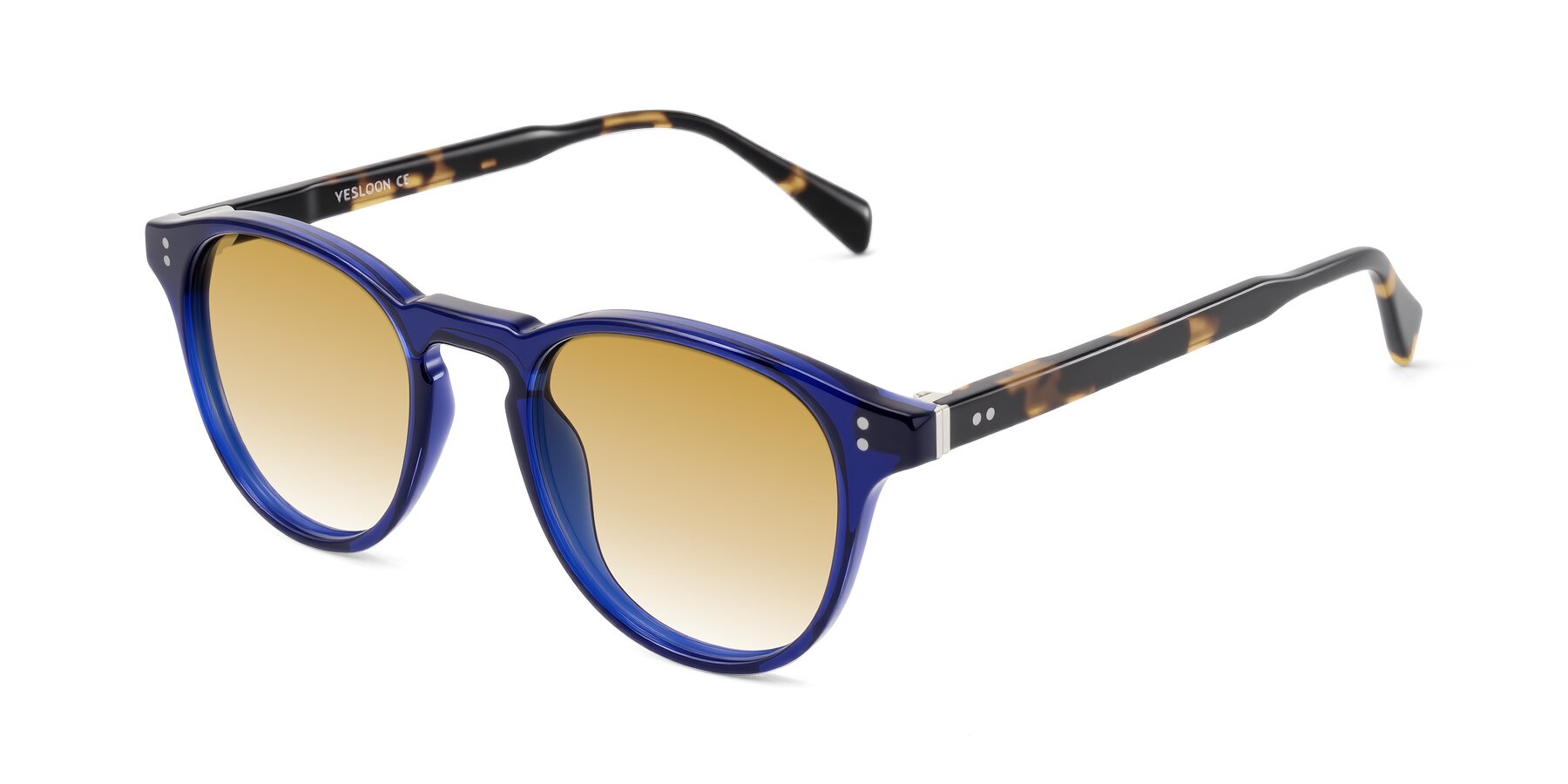 Angle of Dayen in Navy Blue/Tortoise with Champagne Gradient Lenses