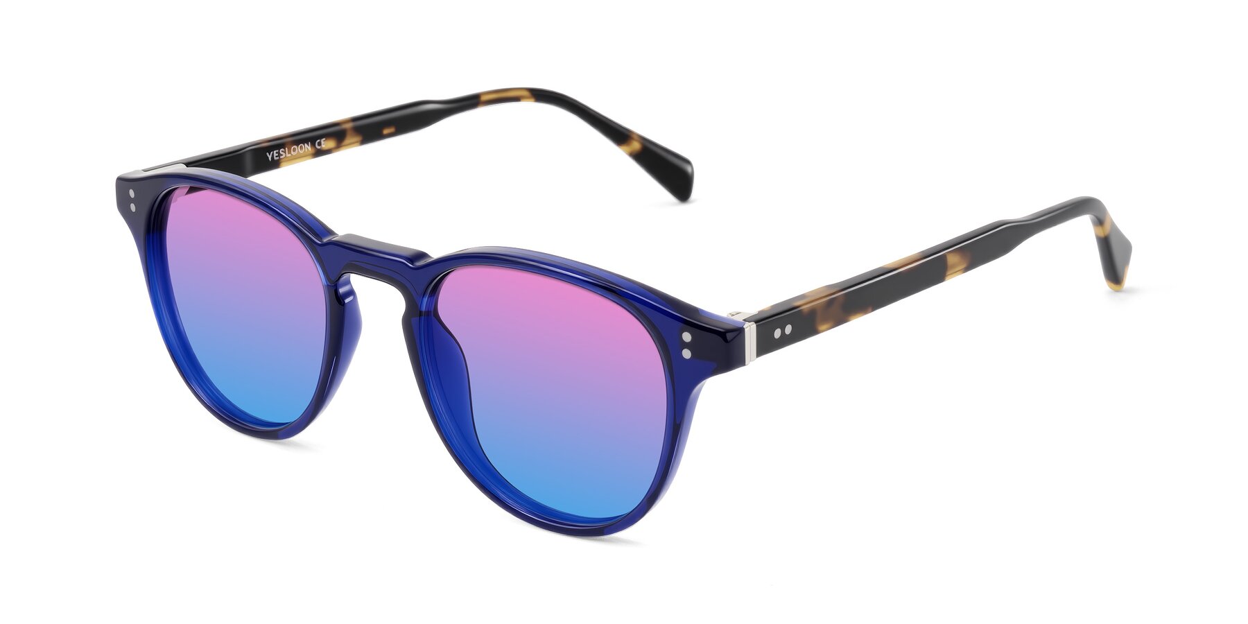 Angle of Dayen in Navy Blue/Tortoise with Pink / Blue Gradient Lenses