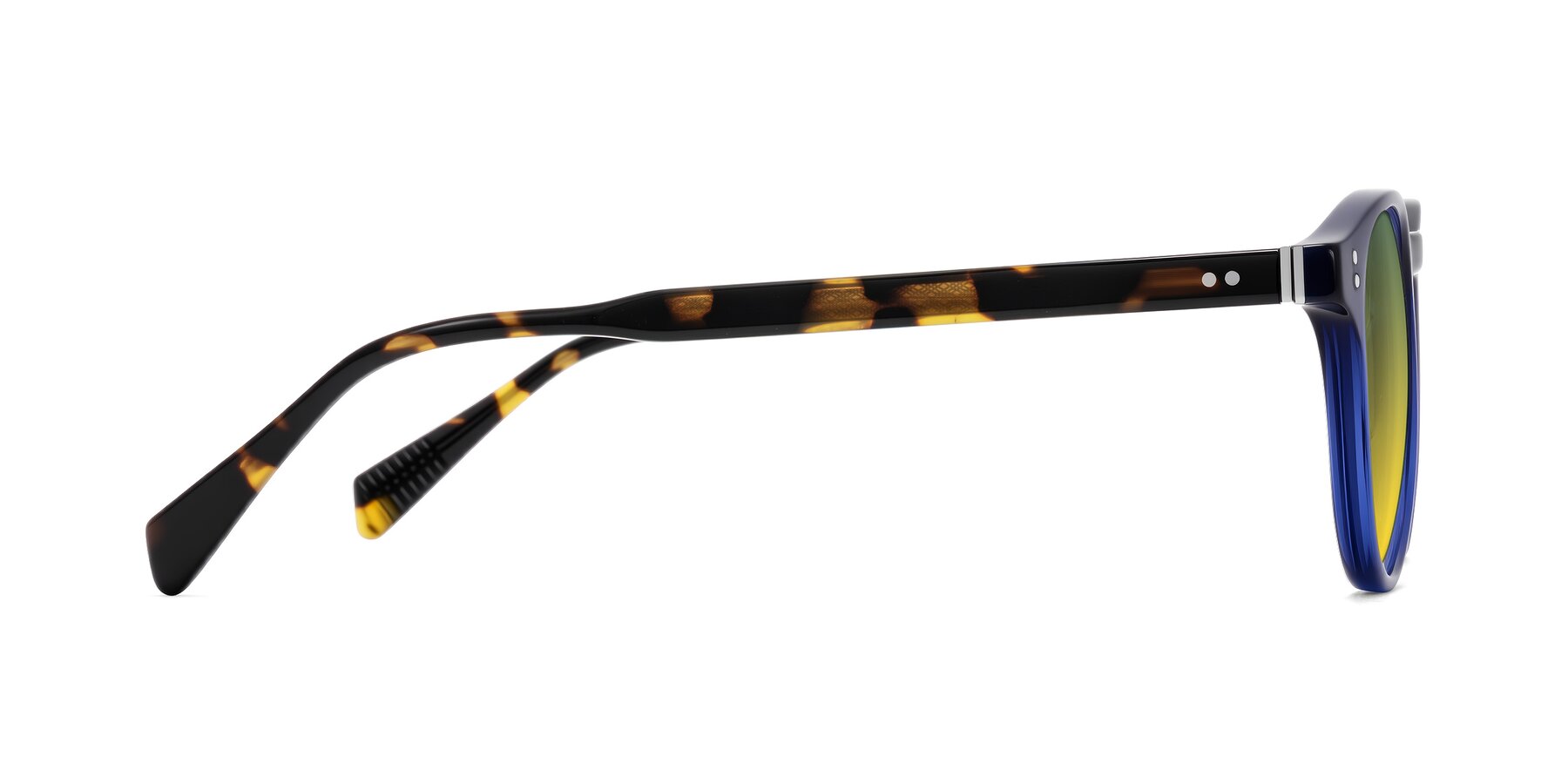 Side of Dayen in Navy Blue/Tortoise with Green / Yellow Gradient Lenses