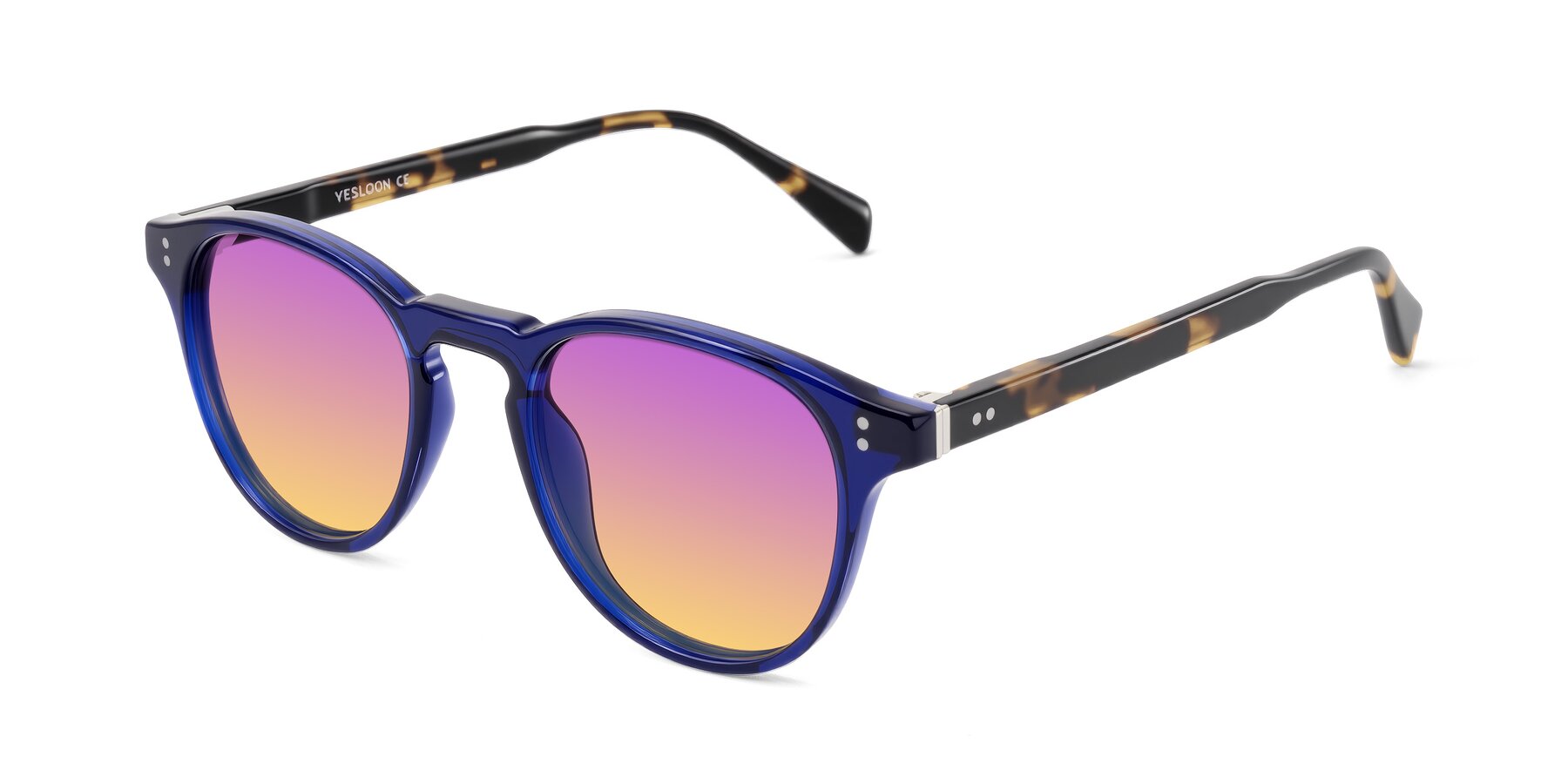 Angle of Dayen in Navy Blue/Tortoise with Purple / Yellow Gradient Lenses