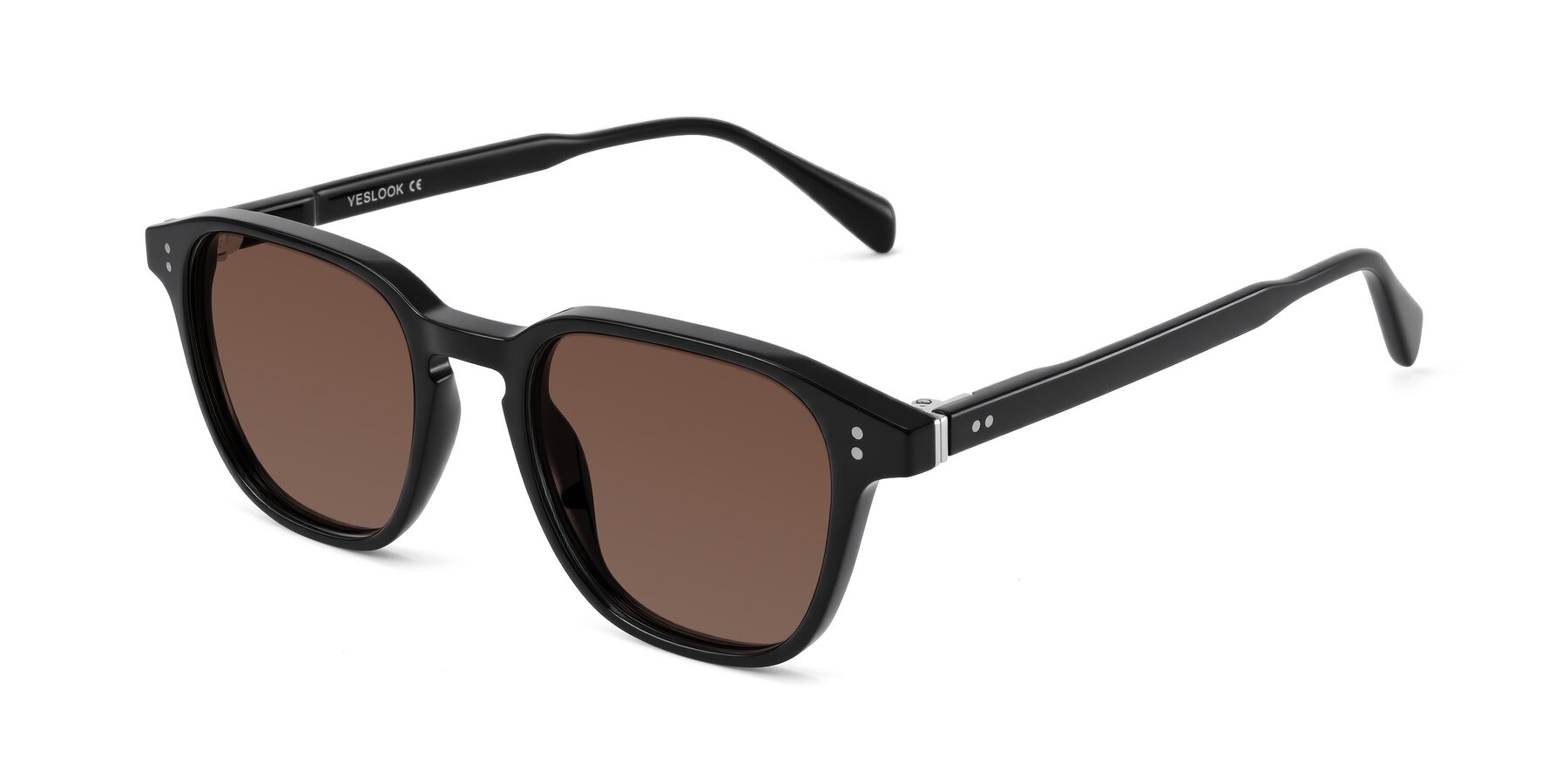 Angle of Huites in Black with Brown Tinted Lenses