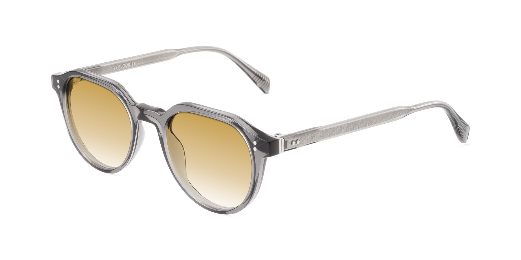 Angle of Cotaii in Gray with Champagne Gradient Lenses