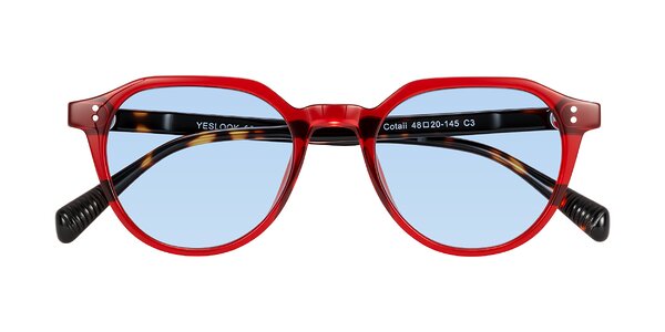 Front of Cotaii in Wine/Tortoise