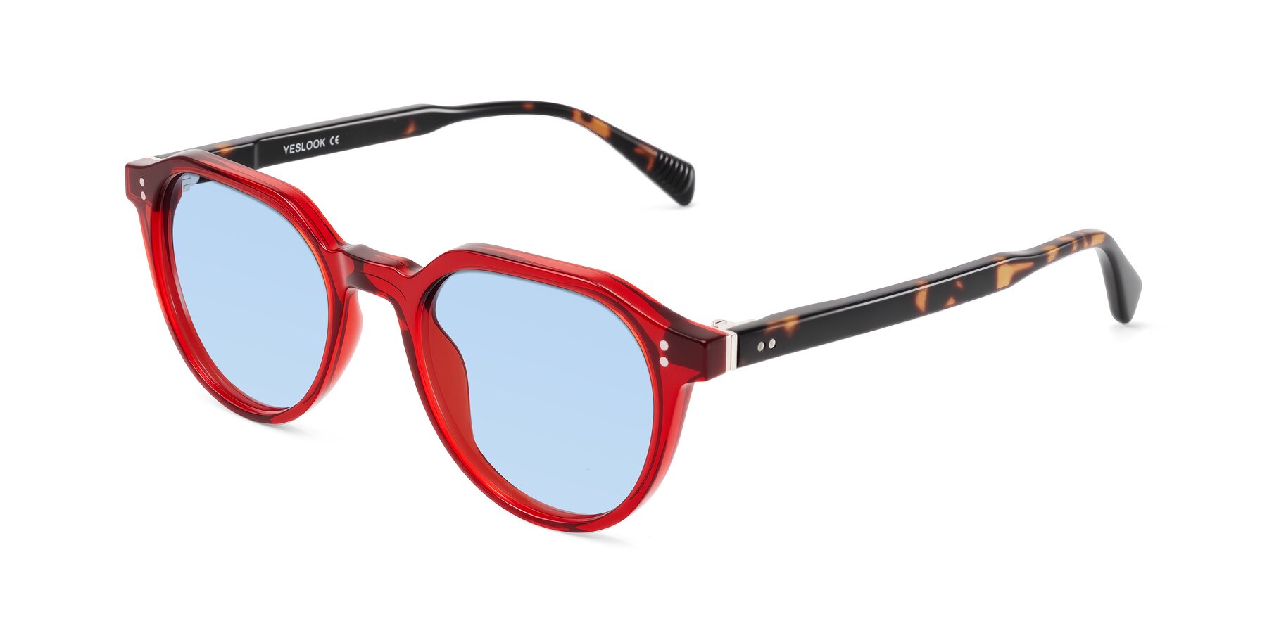 Angle of Cotaii in Wine/Tortoise with Light Blue Tinted Lenses