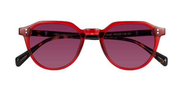 Front of Cotaii in Wine/Tortoise