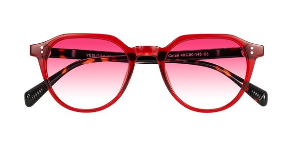 Front of Cotaii in Wine/Tortoise