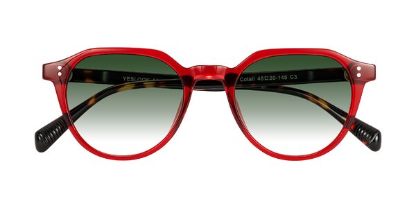 Front of Cotaii in Wine/Tortoise