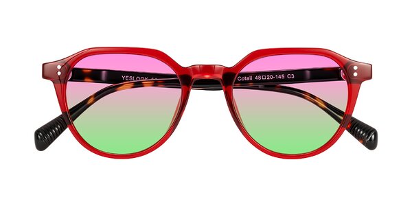 Front of Cotaii in Wine/Tortoise