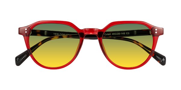 Front of Cotaii in Wine/Tortoise