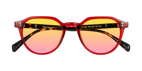 Front of Cotaii in Wine/Tortoise