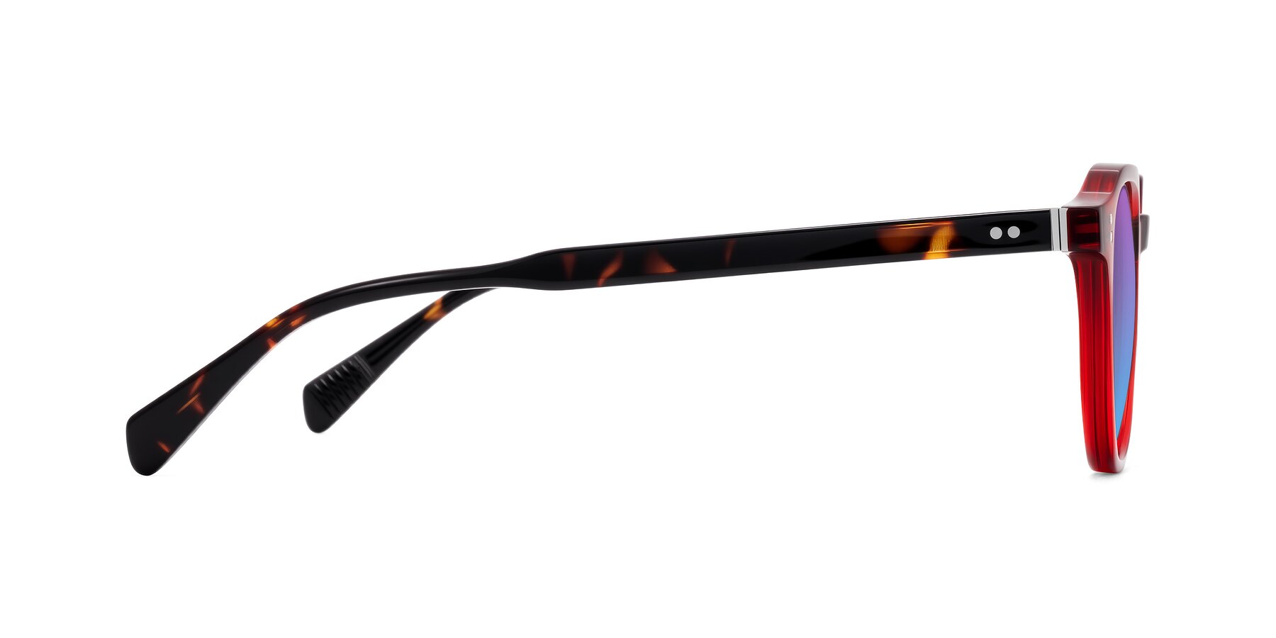 Side of Cotaii in Wine/Tortoise with Purple / Blue Gradient Lenses