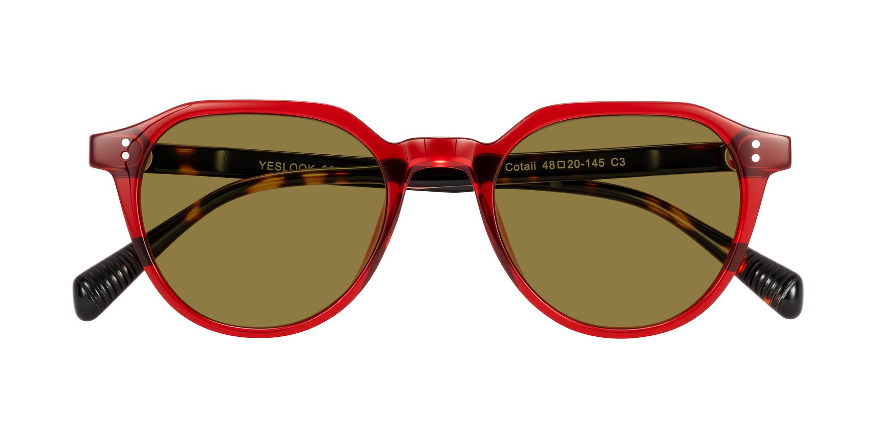 Folded Front of Cotaii in Wine/Tortoise with Brown Polarized Lenses