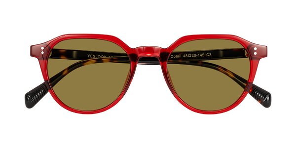 Front of Cotaii in Wine/Tortoise