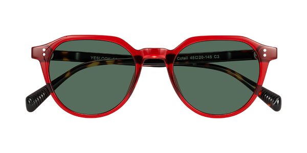 Front of Cotaii in Wine/Tortoise