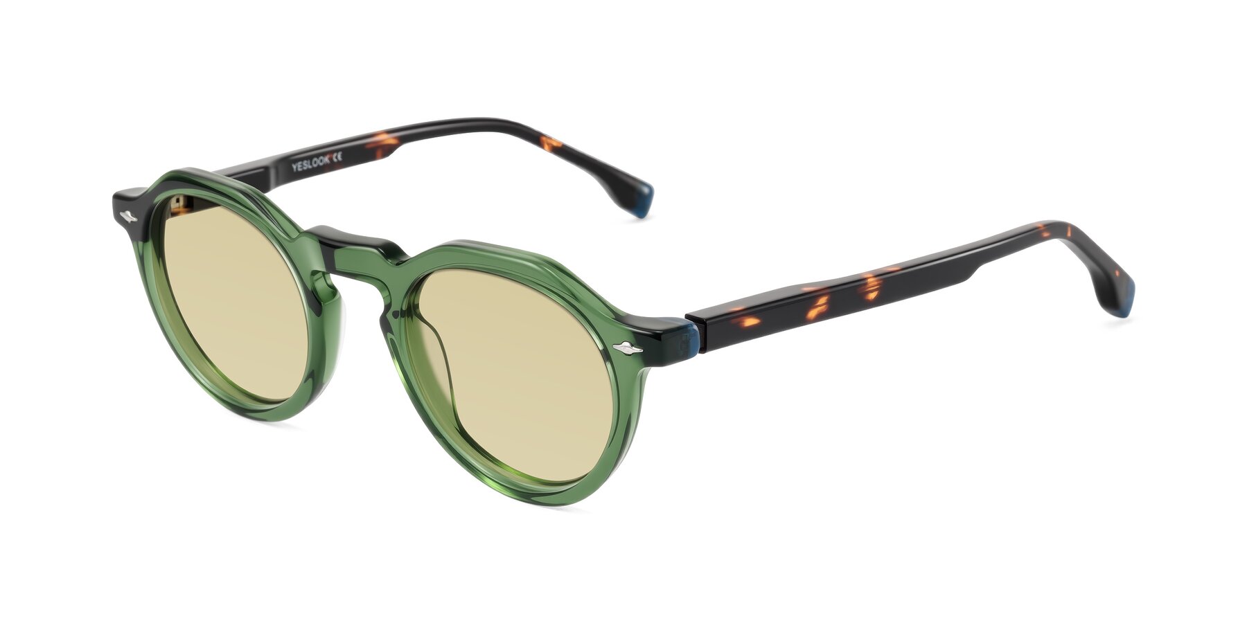 Angle of Orta in Green/Tortoise with Light Champagne Tinted Lenses