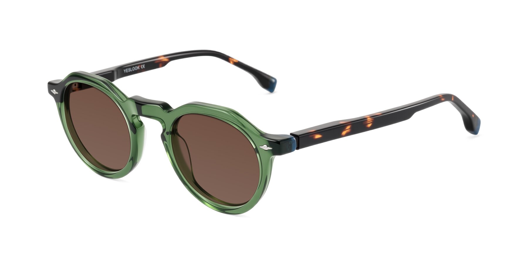 Angle of Orta in Green/Tortoise with Brown Tinted Lenses