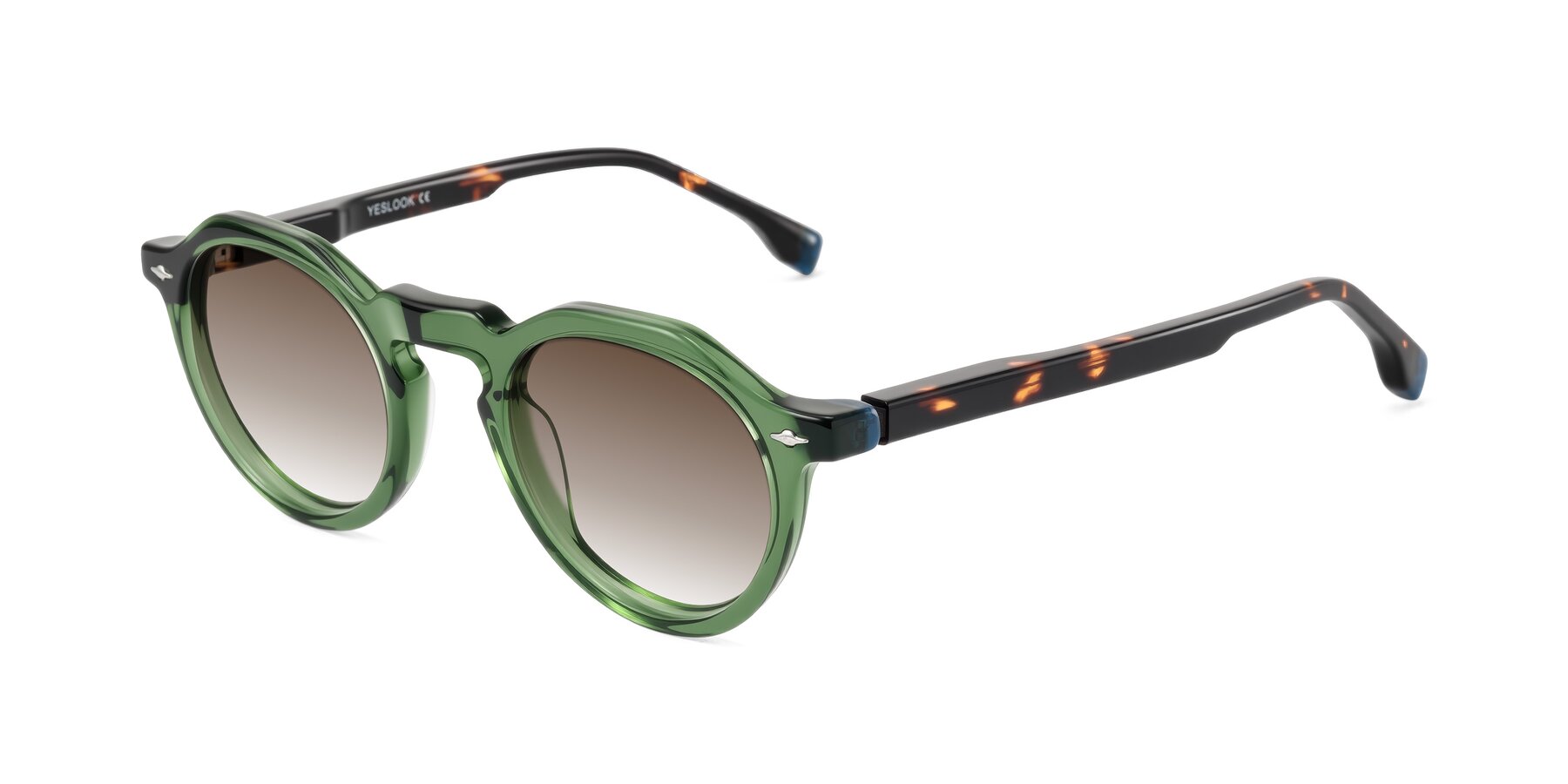 Angle of Orta in Green/Tortoise with Brown Gradient Lenses