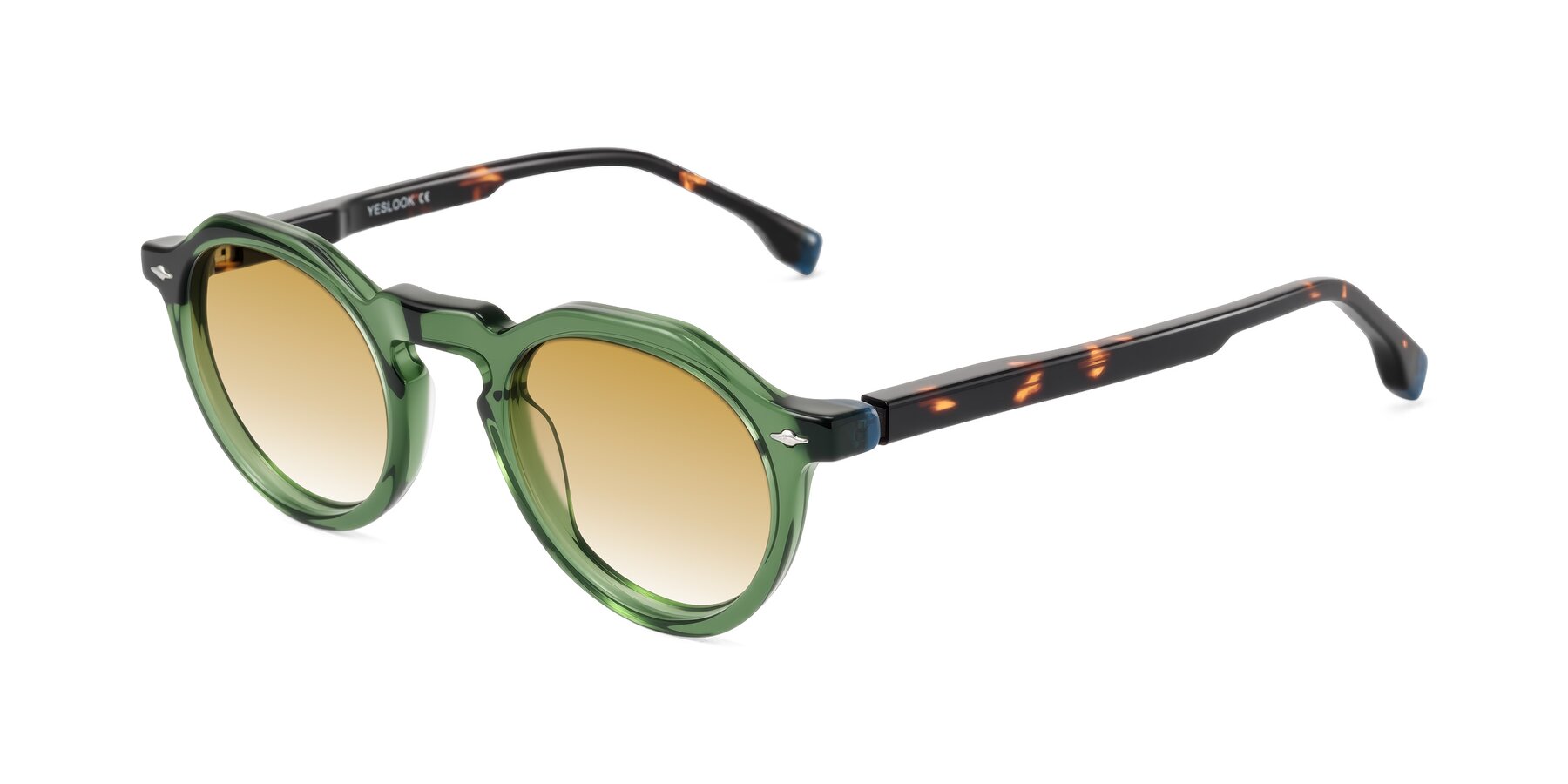 Angle of Orta in Green/Tortoise with Champagne Gradient Lenses