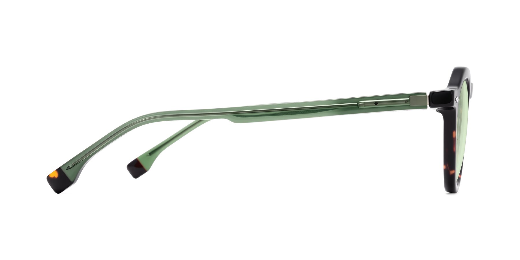 Side of Orta in Tortoise/Green with Light Green Tinted Lenses