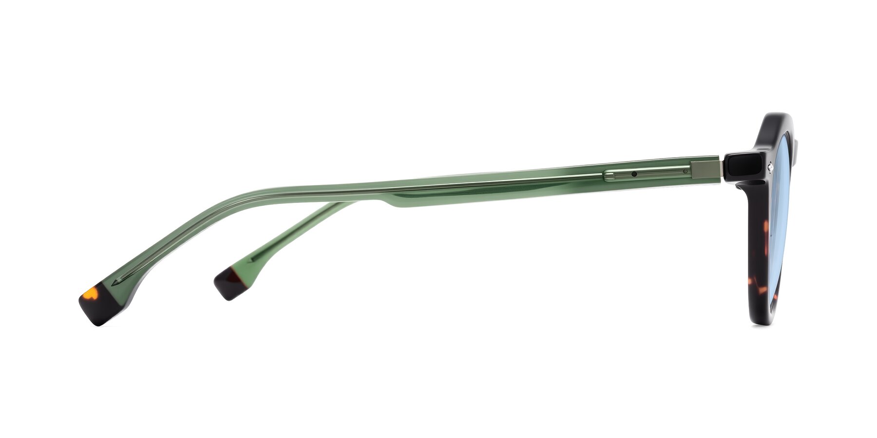Side of Orta in Tortoise/Green with Light Blue Tinted Lenses
