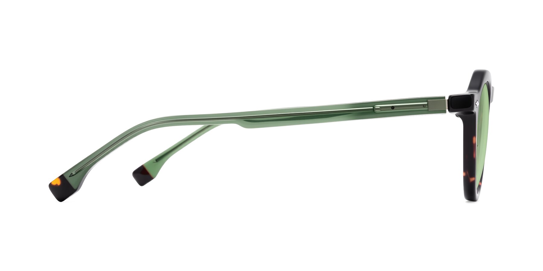 Side of Orta in Tortoise/Green with Medium Green Tinted Lenses