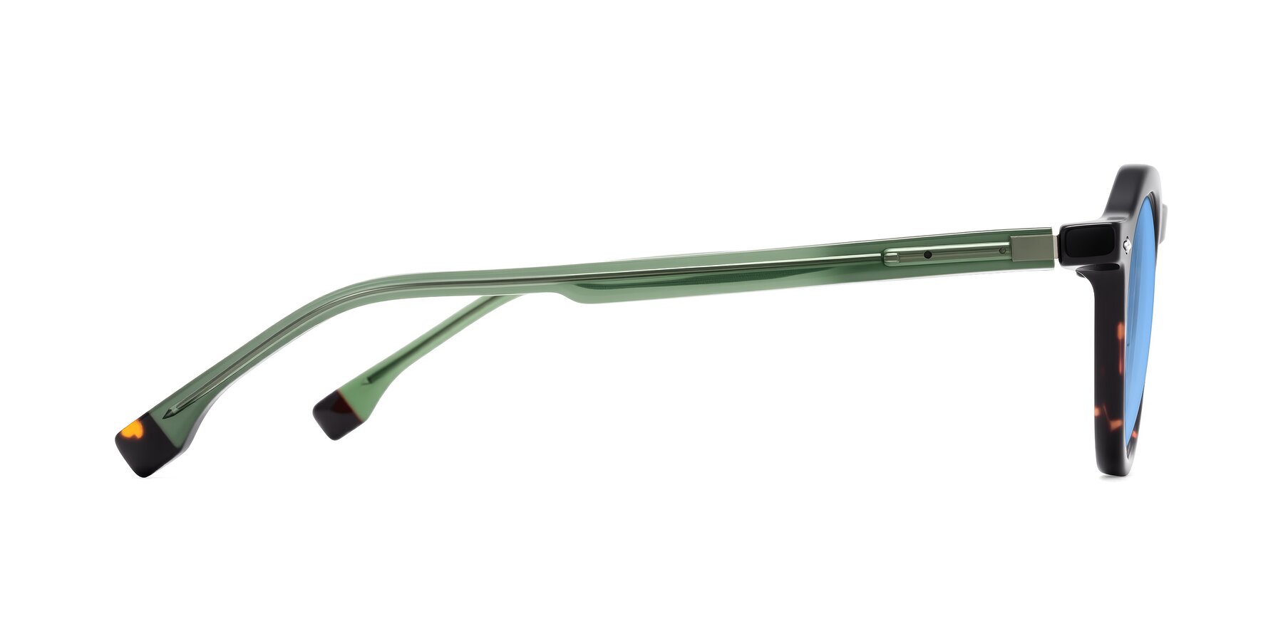 Side of Orta in Tortoise/Green with Medium Blue Tinted Lenses