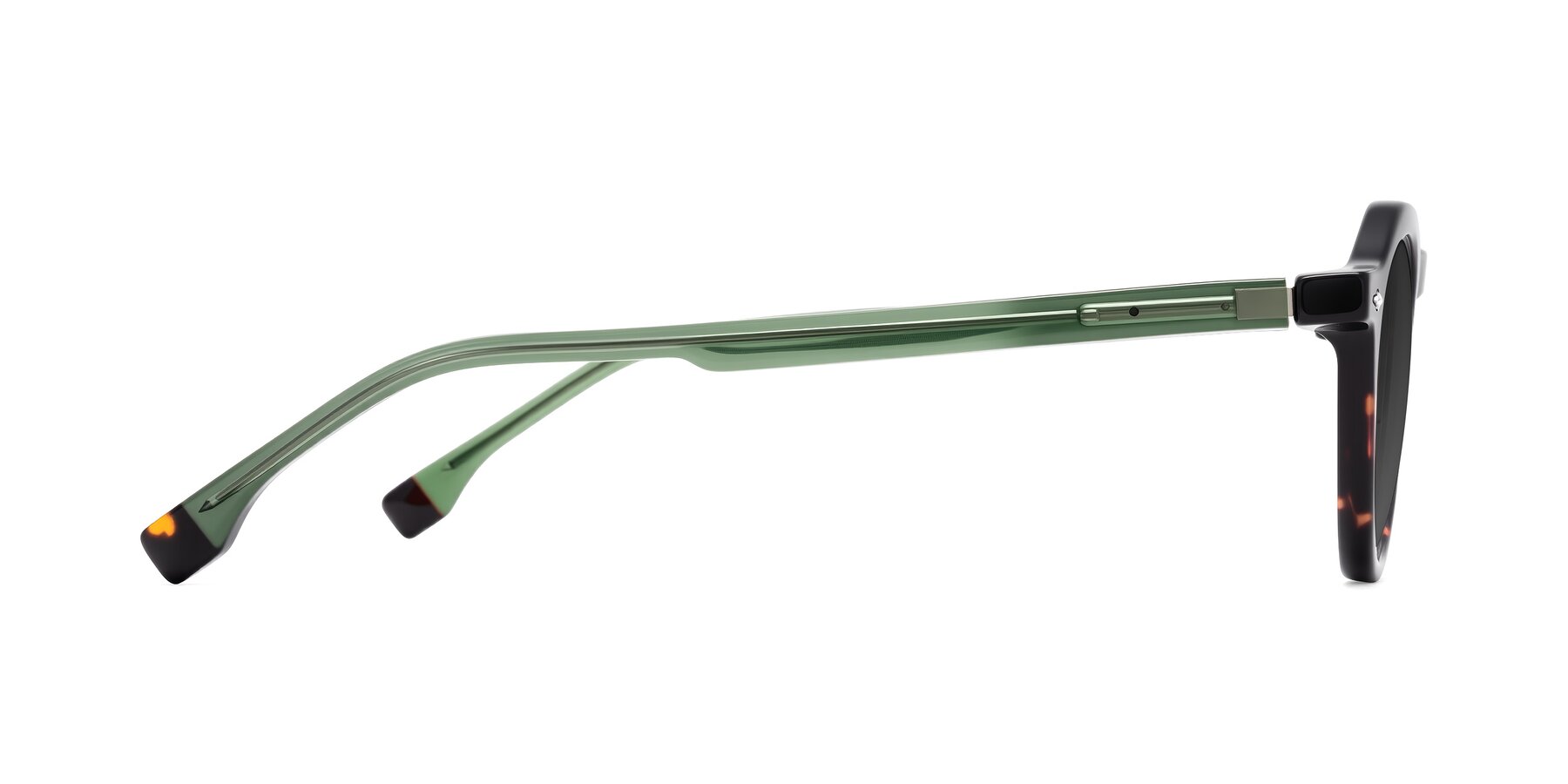 Side of Orta in Tortoise/Green with Gray Tinted Lenses