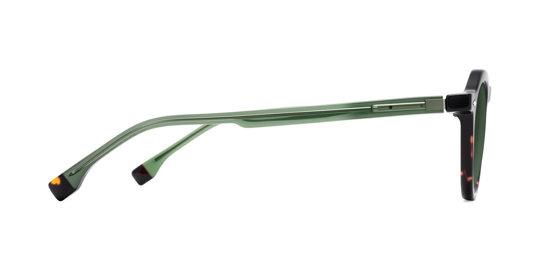 Side of Orta in Tortoise/Green with Green Tinted Lenses
