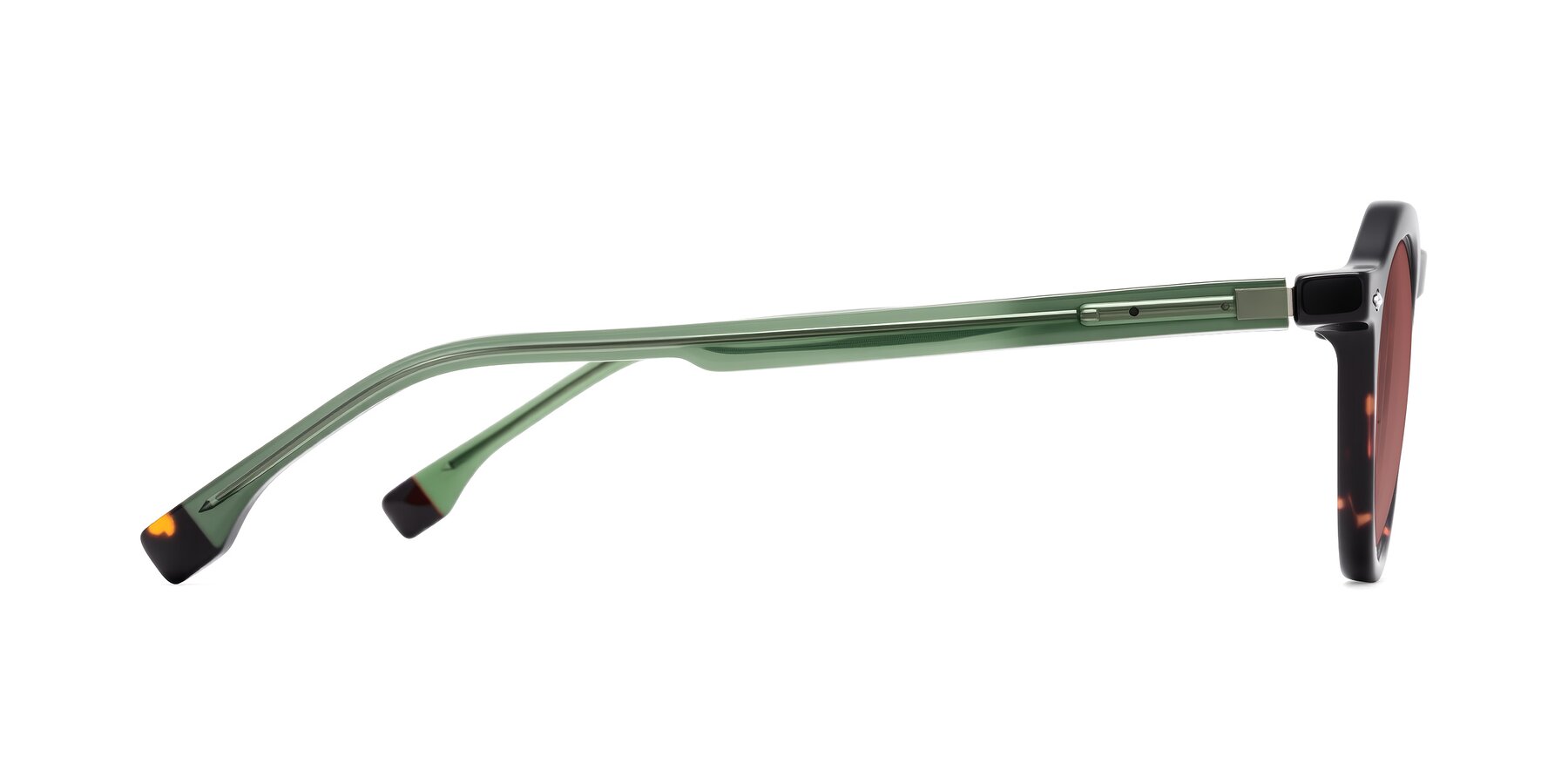Side of Orta in Tortoise/Green with Garnet Tinted Lenses