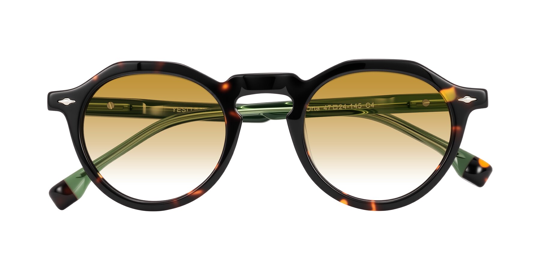 Folded Front of Orta in Tortoise/Green with Champagne Gradient Lenses