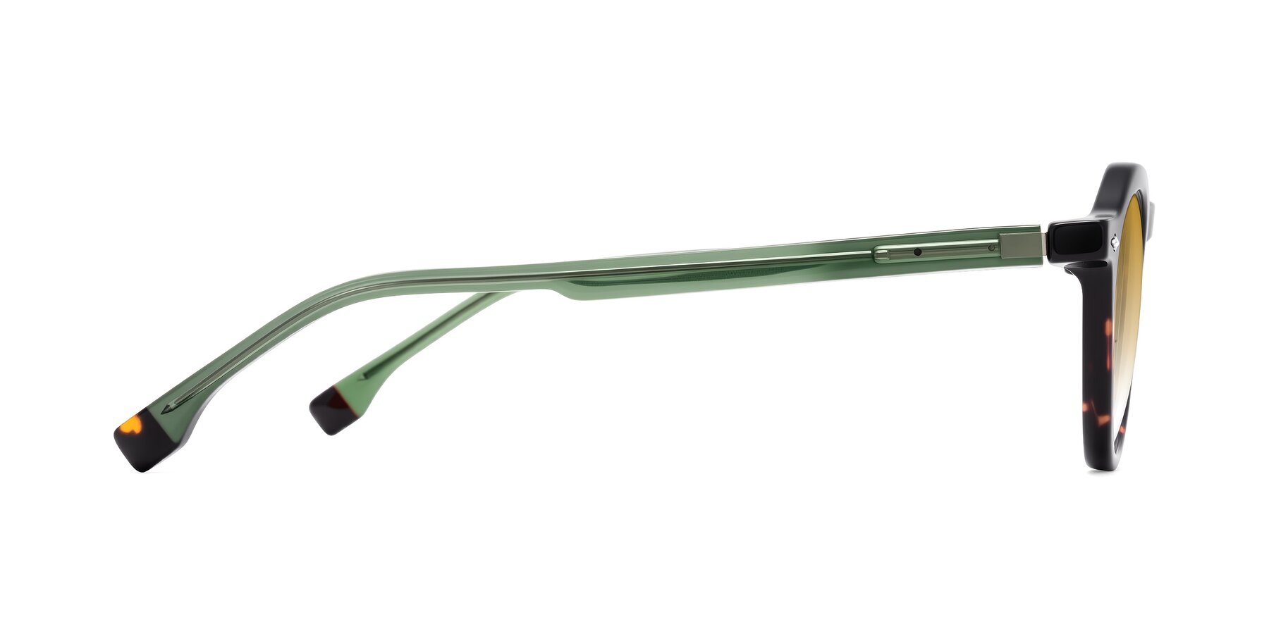 Side of Orta in Tortoise/Green with Champagne Gradient Lenses
