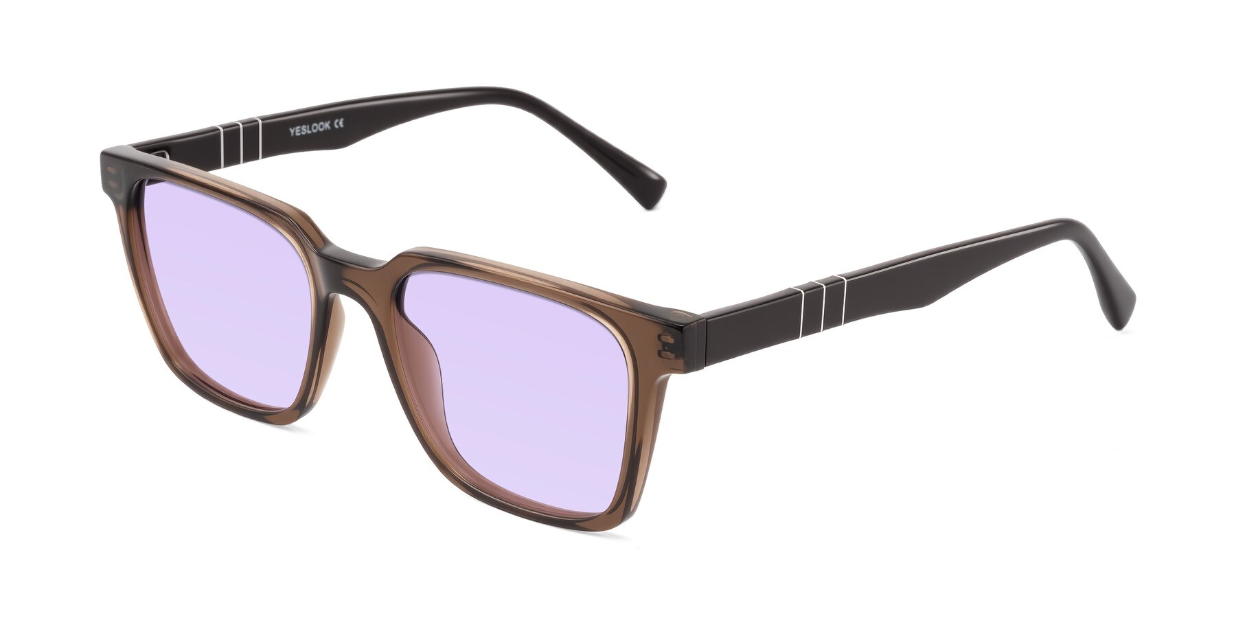 Angle of Doelum in Brown with Light Purple Tinted Lenses