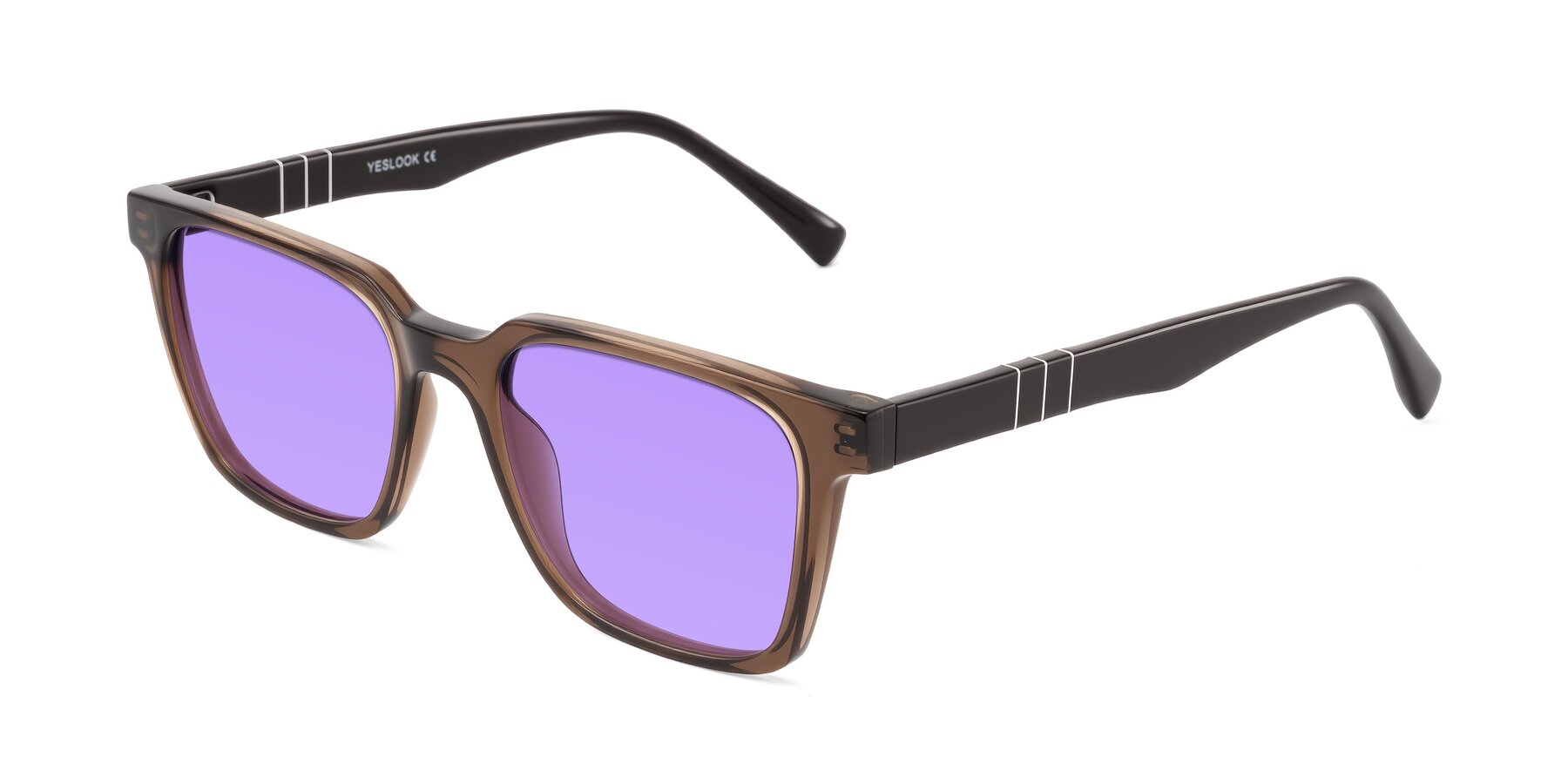 Angle of Doelum in Brown with Medium Purple Tinted Lenses