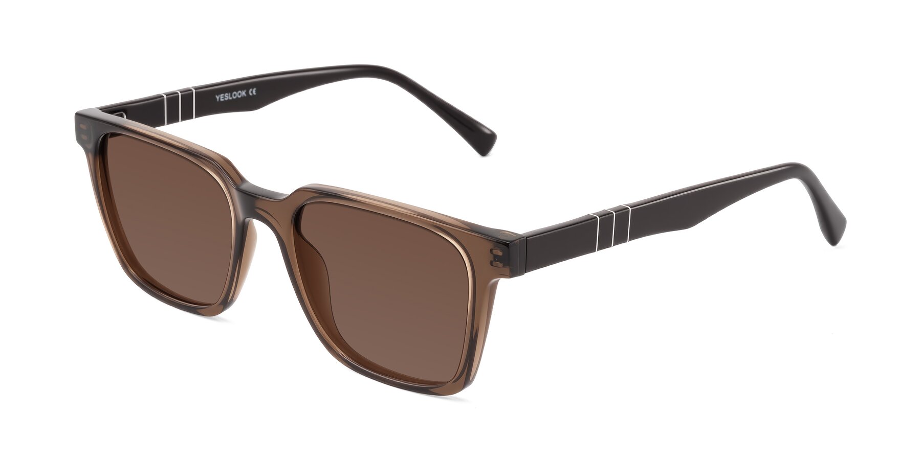 Angle of Doelum in Brown with Brown Tinted Lenses