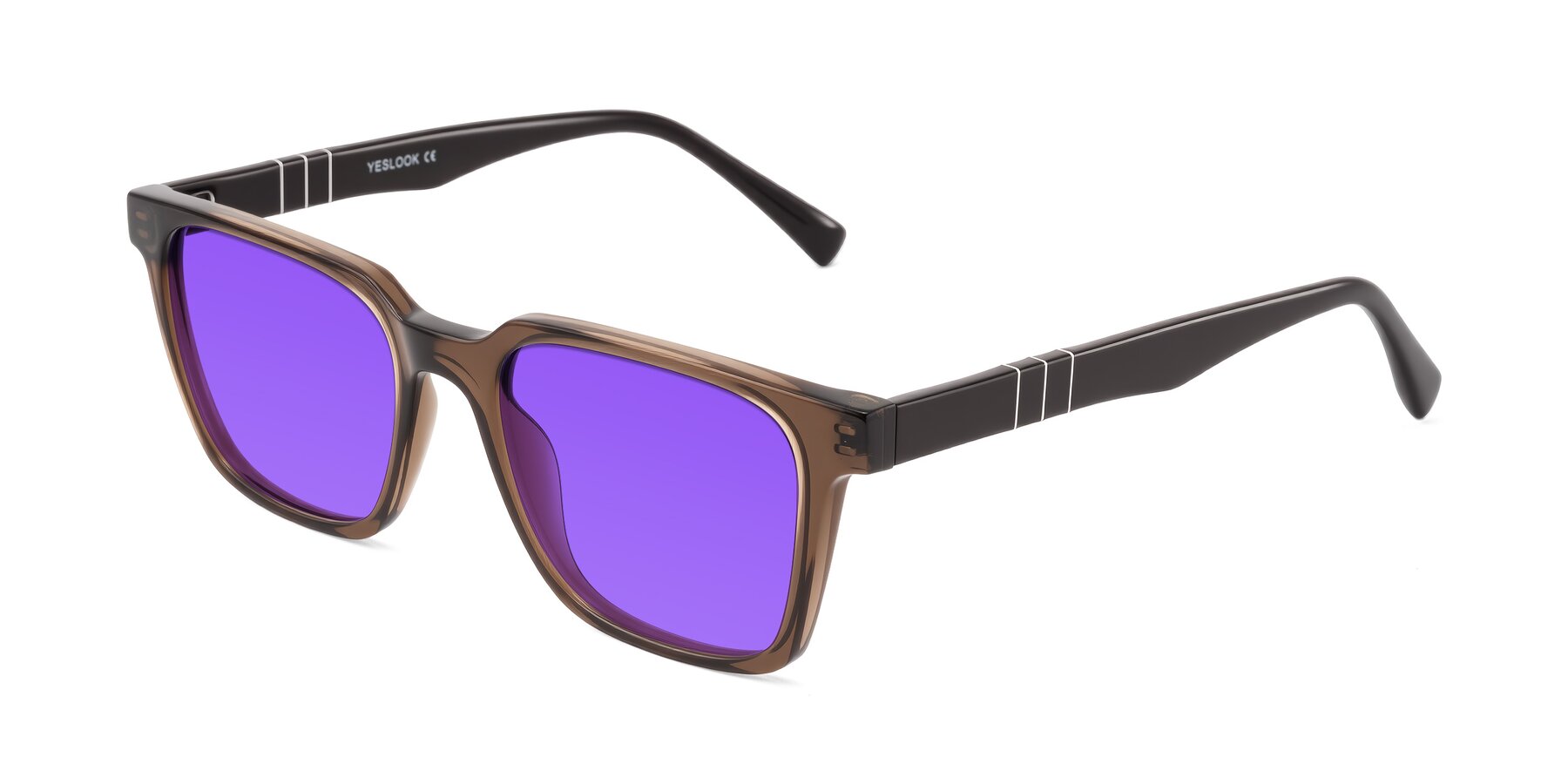 Angle of Doelum in Brown with Purple Tinted Lenses