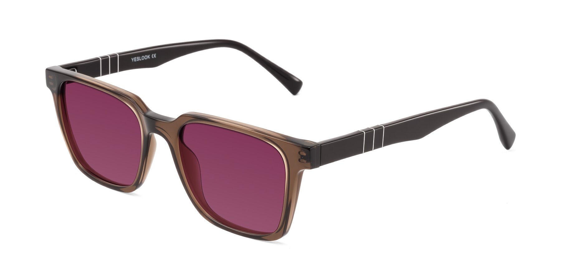 Angle of Doelum in Brown with Wine Tinted Lenses