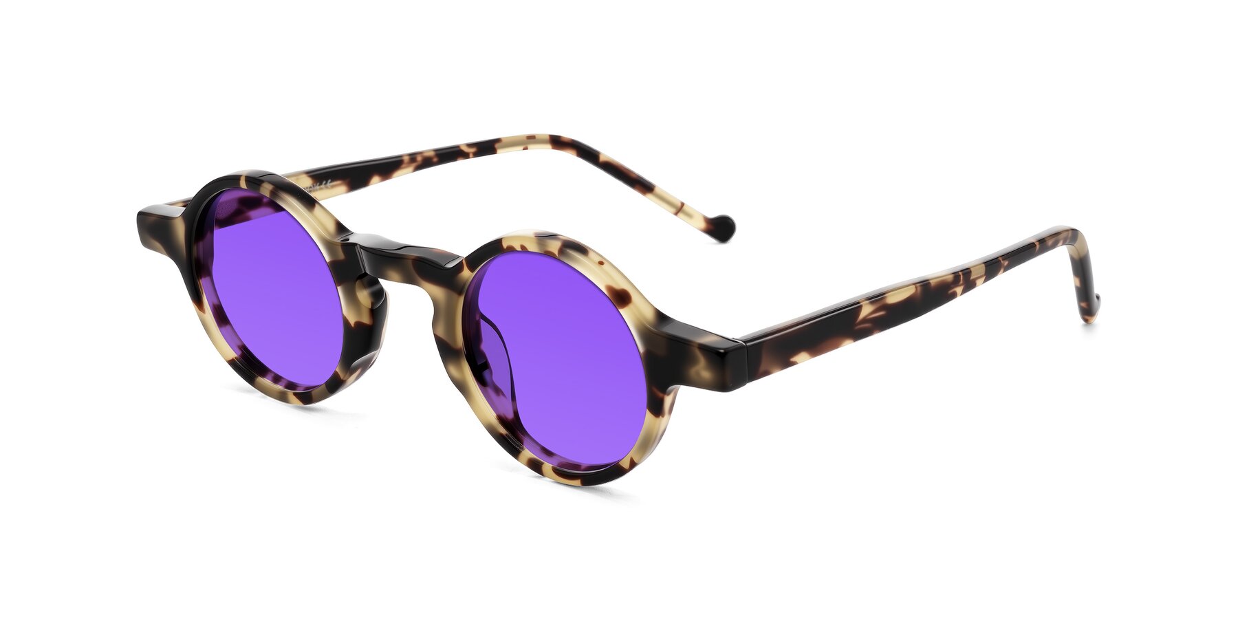 Angle of Enno in Ivory Tortoise with Purple Tinted Lenses