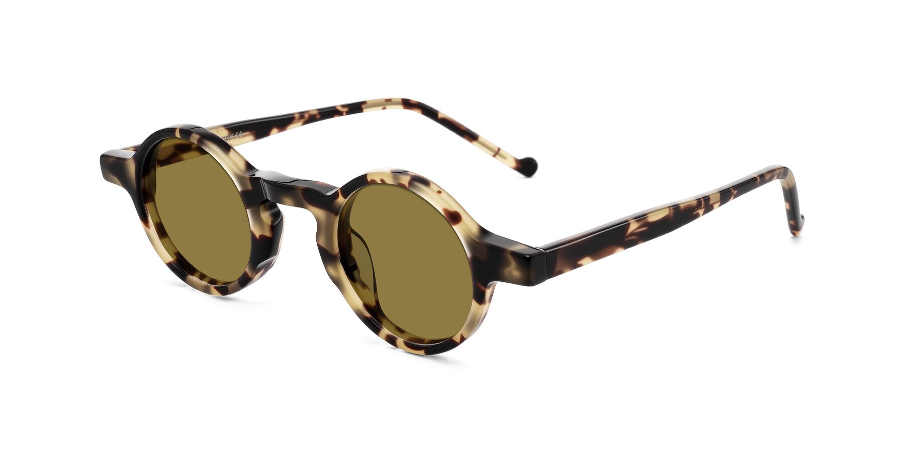 Angle of Enno in Ivory Tortoise with Brown Polarized Lenses