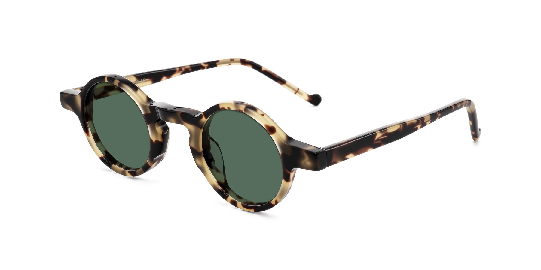 Angle of Enno in Ivory Tortoise with Green Polarized Lenses