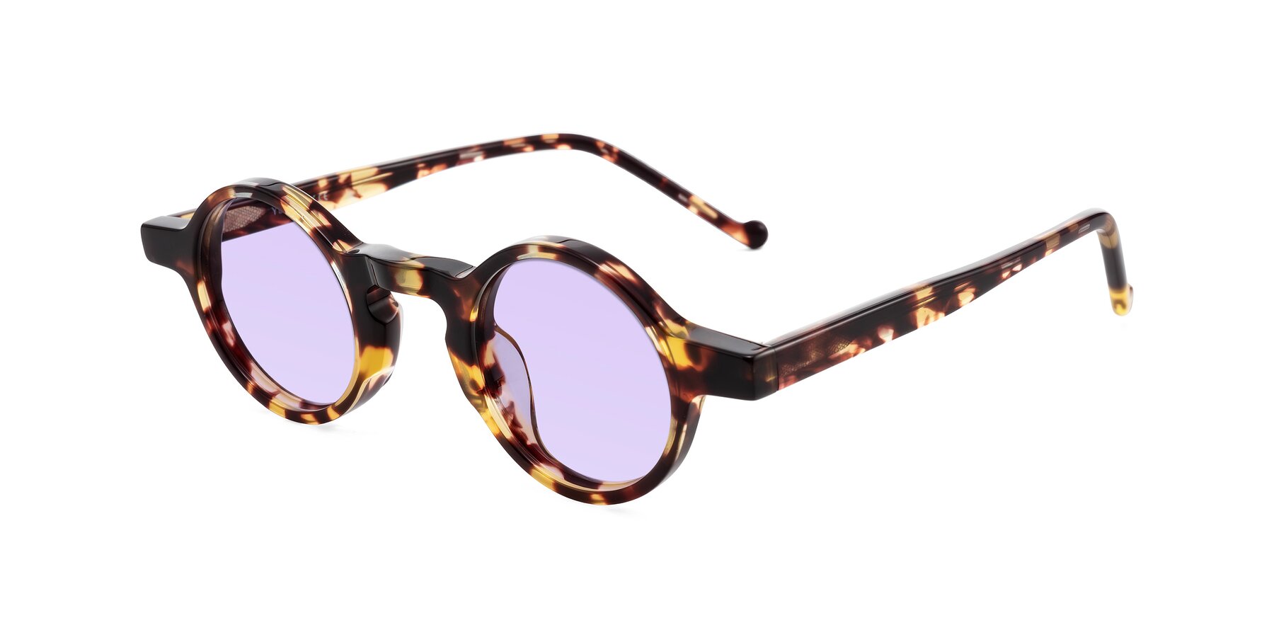 Angle of Enno in Tortoise with Light Purple Tinted Lenses