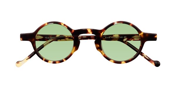 Front of Enno in Tortoise