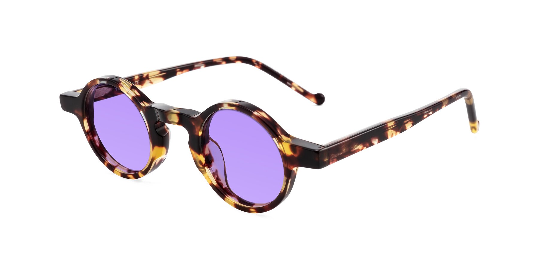Angle of Enno in Tortoise with Medium Purple Tinted Lenses