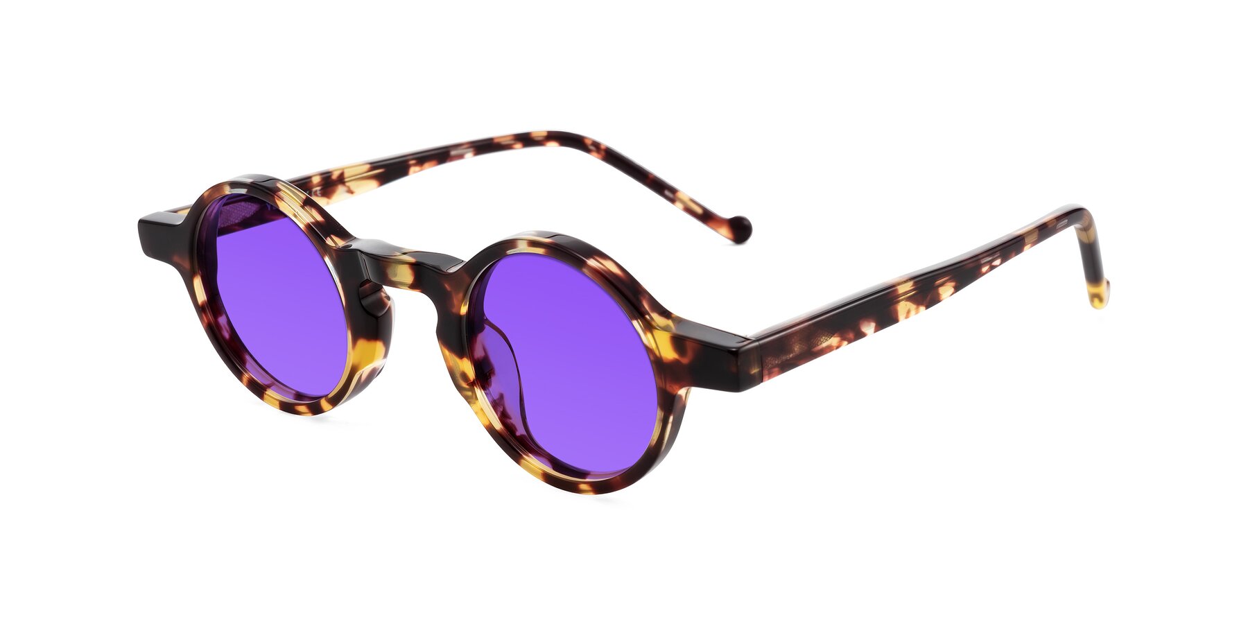 Angle of Enno in Tortoise with Purple Tinted Lenses