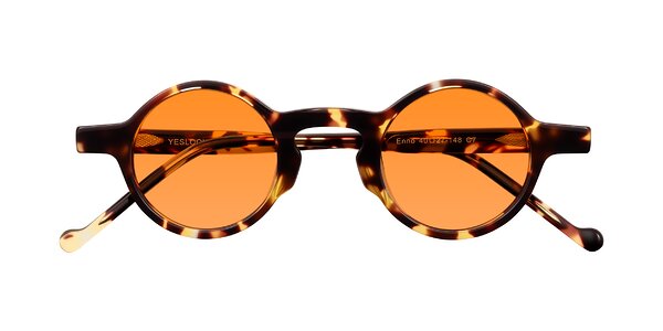 Front of Enno in Tortoise