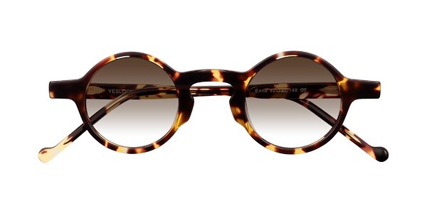 Front of Enno in Tortoise